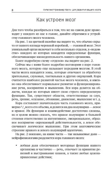 Интеллект-тренажер Келли для развития вашего мозга. Программа занятий для повышения интеллекта, памяти и внимания