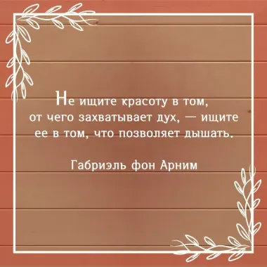 Утешение красотой. Как найти и сберечь прекрасное в своей жизни