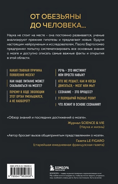 Достижения мозга. Как этот орган стал самой сложной и влиятельной частью тела человека