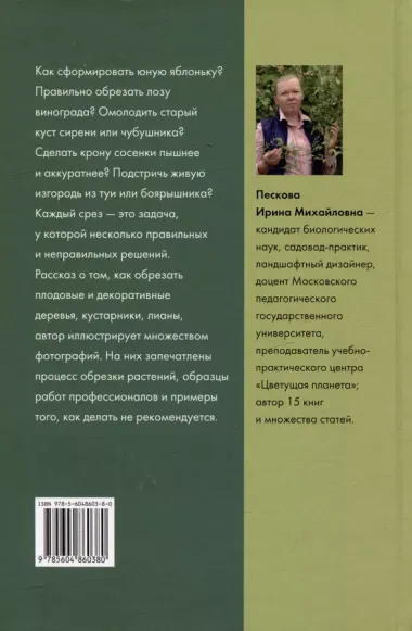 Обрезка плодовых и декоративных деревьев и кустарников