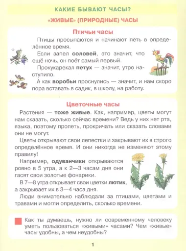 Который час? Математика для детей 5-7 ле