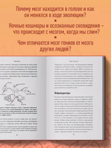 Мозг. Советы ученого, как по максимуму использовать самый совершенный в мире орган