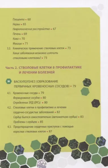 Стволовые клетки, спасибо! Секрет здоровья до 100 лет - взрослые стволовые клетки