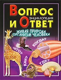 Вопрос и ответ. Живая природа. Организм человека. Энциклопедия