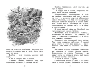 Лесные тайнички