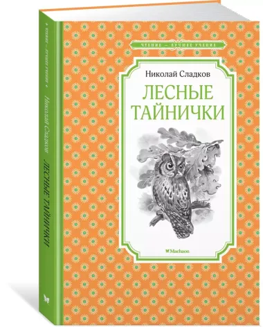 Лесные тайнички