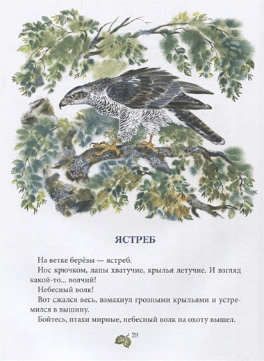 Лесное ожерелье. Рассказы о природе . Илл. Е. Чарушиной-Капустиной