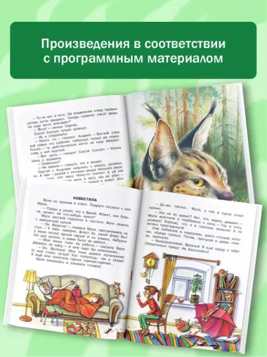 Родничок: книга для внеклассного чтения в 3-м классе