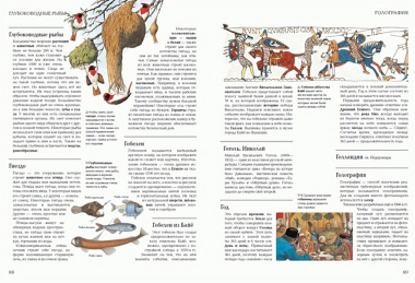 Я знаю все! Большая иллюстрированная энциклопедия интеллекта