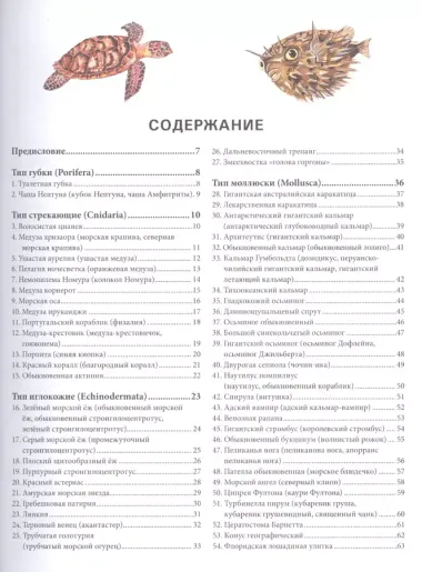 Подводный мир. Большая иллюстрированная энциклопедия