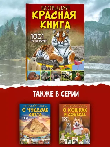 Большая красная книга. 1001 фотография