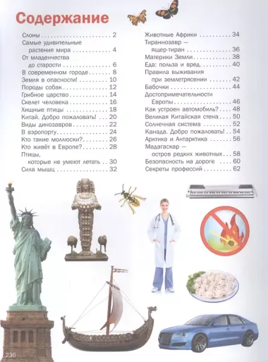 5000 интересных фактов в картинках, которые можно изучать целый год