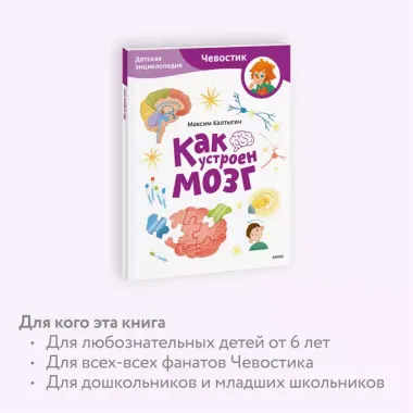 Как устроен мозг. Детская энциклопедия (Чевостик) (Paperback)