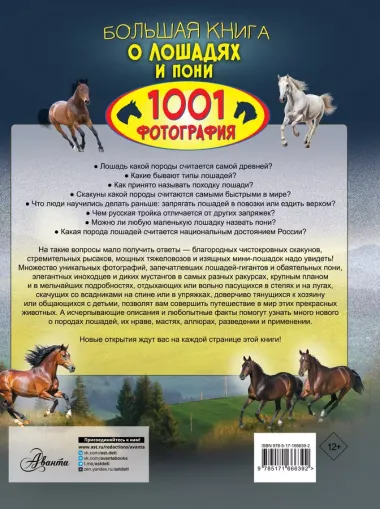 Большая книга о лошадях и пони. 1001 фотография