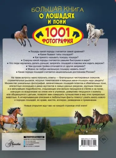 Большая книга о лошадях и пони. 1001 фотография