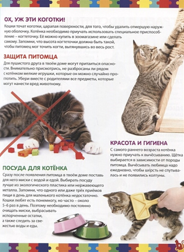 Кошки. Детская энциклопедия