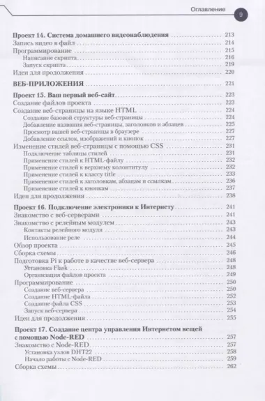 20 простых проектов на Raspberry Pi. Игрушки, инструменты, гаджеты и многое другое