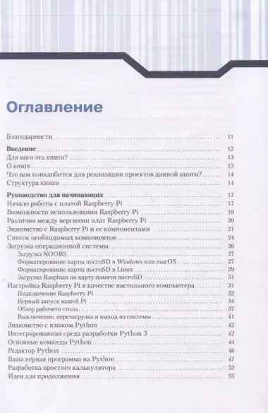 20 простых проектов на Raspberry Pi. Игрушки, инструменты, гаджеты и многое другое