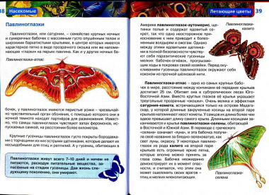 Насекомые / Науч.-поп. изд.