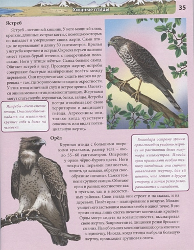 ptitsi-entsiklopedija