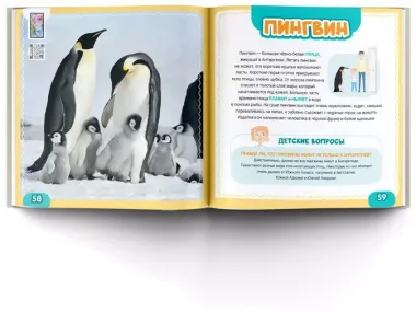 Моя первая 4D книга о животных