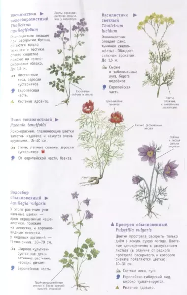 Растения России