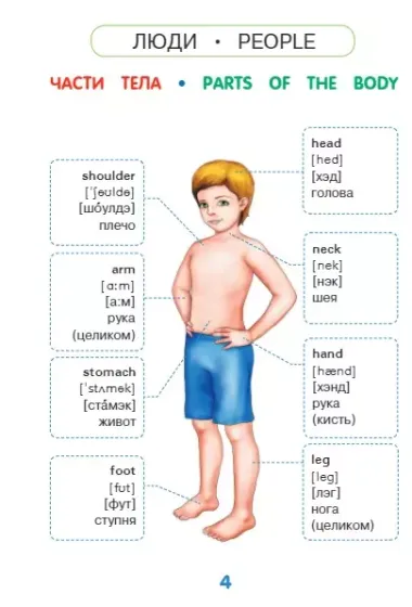 Английский словарь в картинках для малышей от 4 до 6 лет