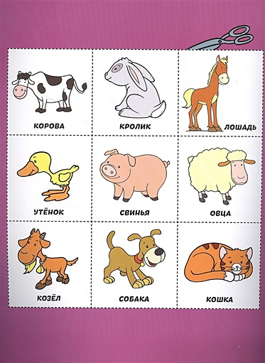 Животные (с наклейками и разрезными карточками)