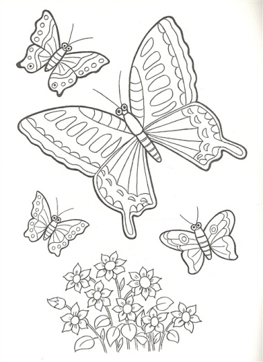 Цветы и бабочки (раскраска большого формата)