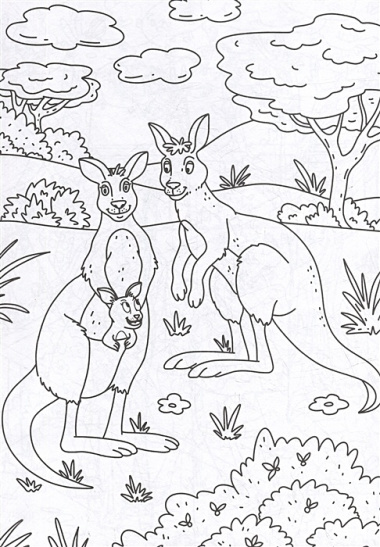 Раскраска с карандашами «Дикие животные» (комплект из 2-х предметов)