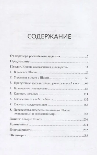 Сила Шакти. Единение женской и мужской энергии в бизнесе