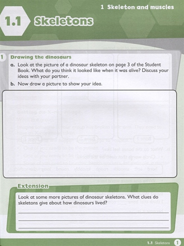 Max Science primary. Discovering through Enquiry. Workbook 4