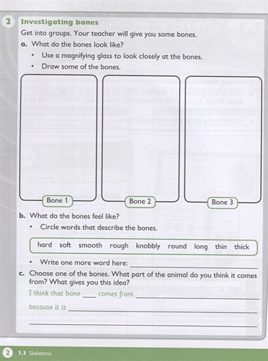 Max Science primary. Discovering through Enquiry. Workbook 4