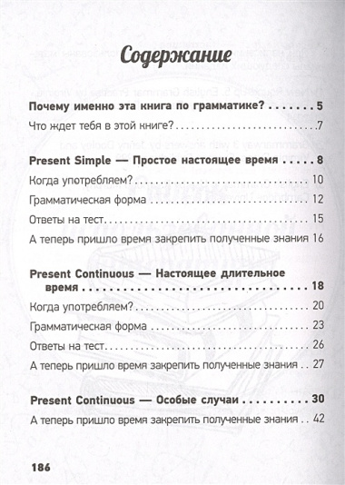 Разговорный английский: Самоучитель по всем временам глагола