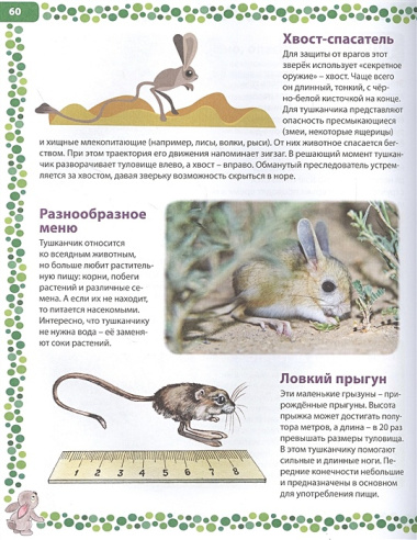 Большая книга о животных. Иллюстрированная энциклопедия