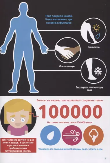 Тело человека. Инфографика