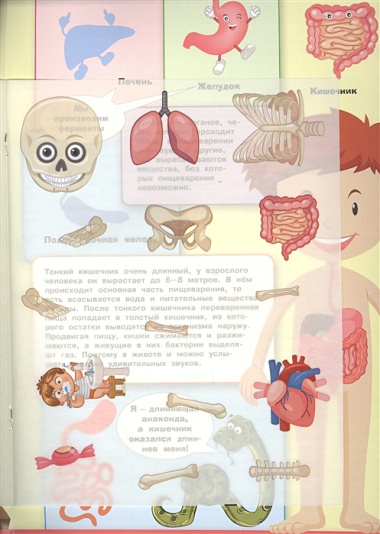 Тело человека. Моя первая энциклопедия с наклейками