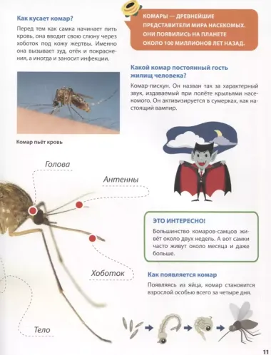 Первая детская энциклопедия. Все о насекомых малышам