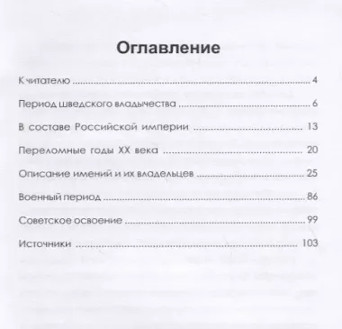 Прежняя деревня Риихисюрья - Краснознаменка в своем инобытии