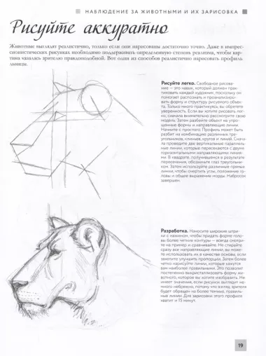 Основы рисования животных. Более 50 проектов. Полная энциклопедия