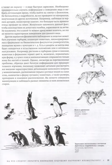 Профессия — Научный иллюстратор. Руководство по иллюстрации в биологии, археологии и палеоарте