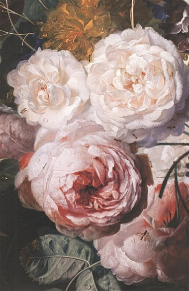 Ян ван Хейсум. Цветы