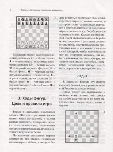 Шахматы для начинающих: правила, навыки, тактики