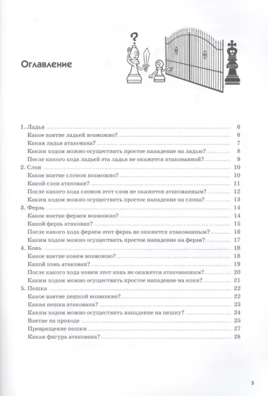 Лабиринты шахмат. Учебное пособие для шахматных кружков и общеобразовательных школ. Уровень 2. Практика