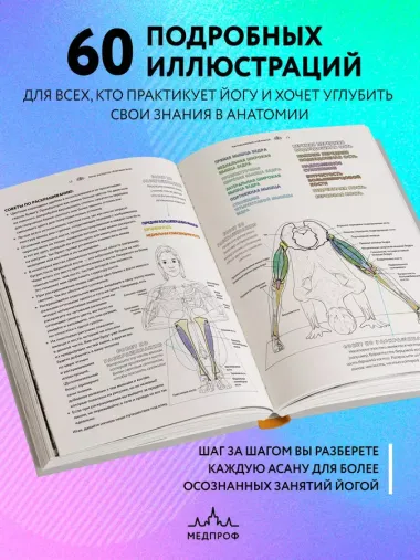 Анатомия йоги: атлас-раскраска. Визуальный гид по телу — от структуры к осознанной практике