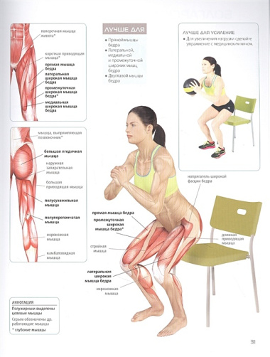 Анатомия фитнеса. Большая иллюстрированная энциклопедия по здоровой жизни в красивом теле