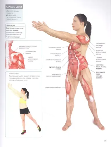 Анатомия фитнеса. Большая иллюстрированная энциклопедия по здоровой жизни в красивом теле