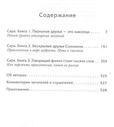 Сара. Путешествие ребенка в мир безграничной радости. Роман