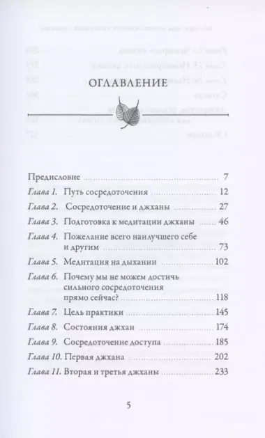 Больше, чем осознанность простыми словами. Простой и понятный путеводитель по джханам, или глубоким медитативным состояниям