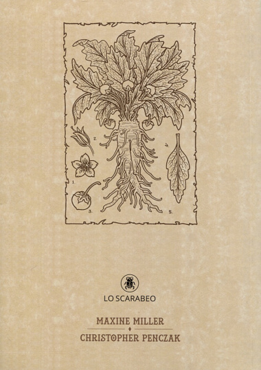 Волшебный ботанический журнал / The Magical Botanical - Journal